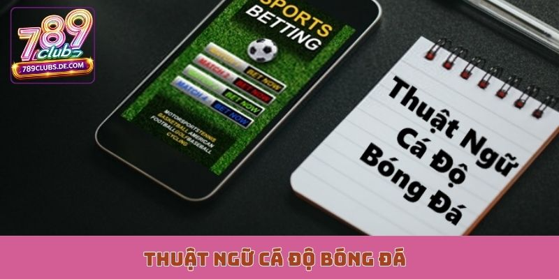 Thuật Ngữ Cá Độ Bóng Đá